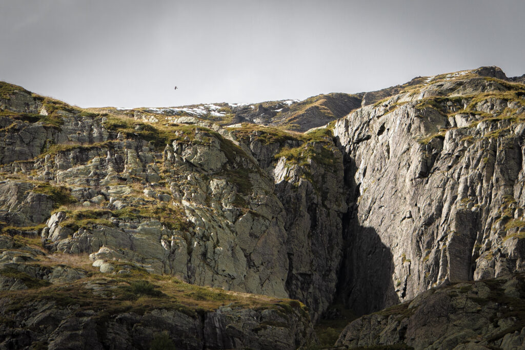 One flew over the rocks